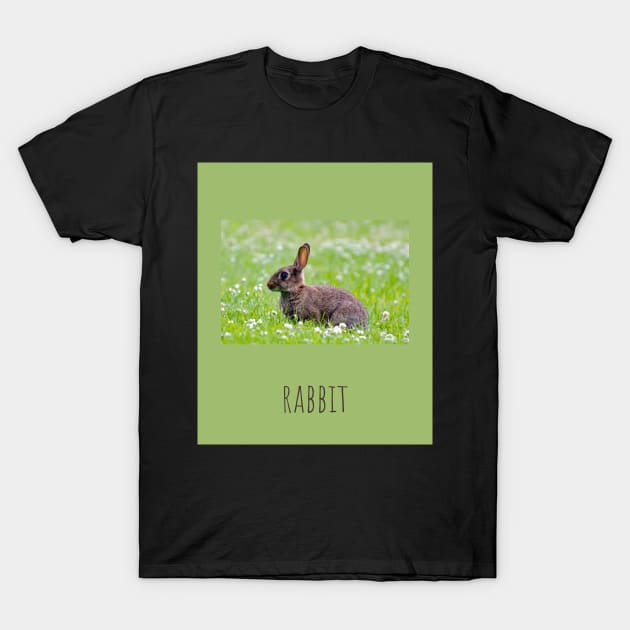 rabbit T-Shirt by phantom